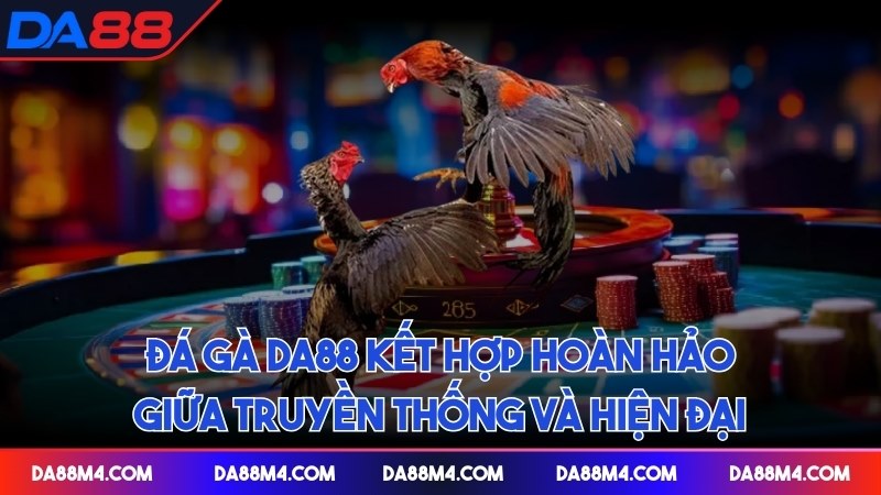 Đá gà DA88 kết hợp hoàn hảo giữa truyền thống và hiện đại